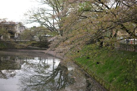 20090422-3.jpg