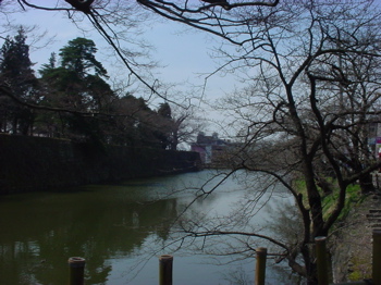 DSC02897.jpg