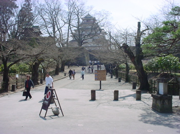 DSC02901.jpg