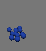 11 cells
