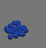 21 cells
