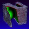 hairy cube